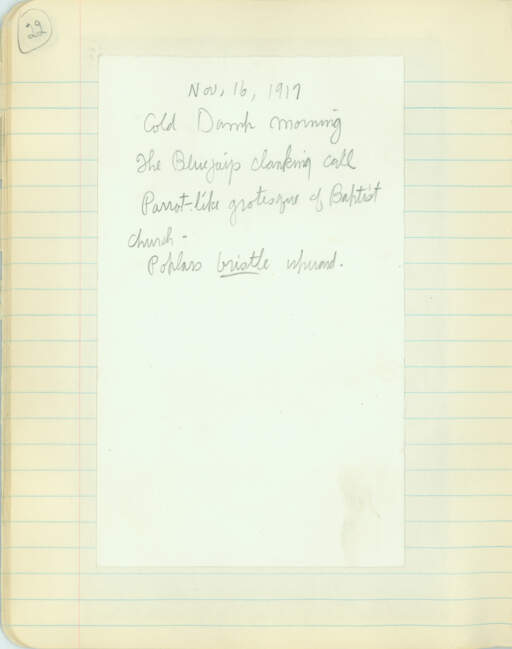 Volume 31, pg 22