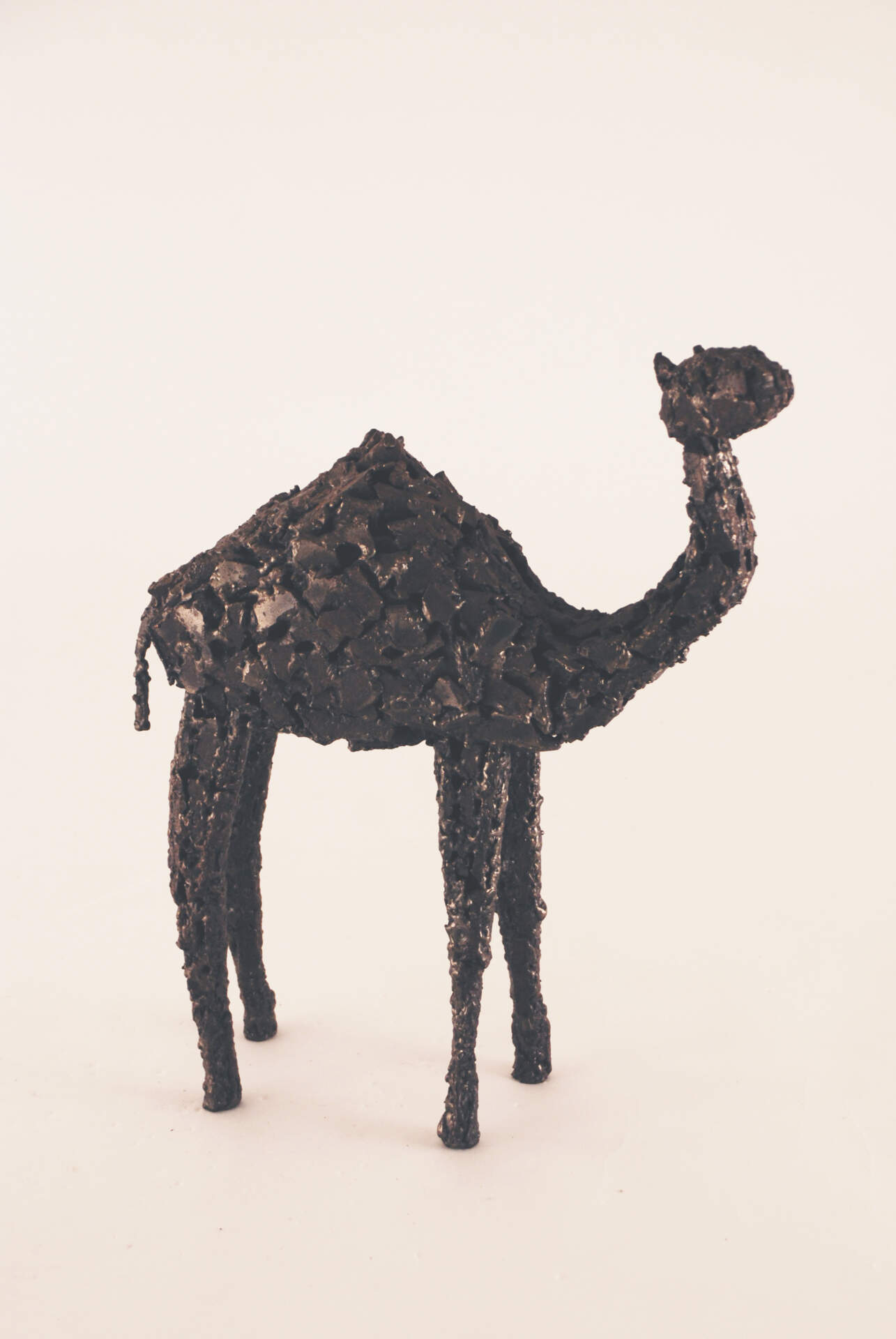 Camel
