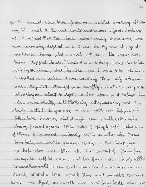 Volume 10, Page 55