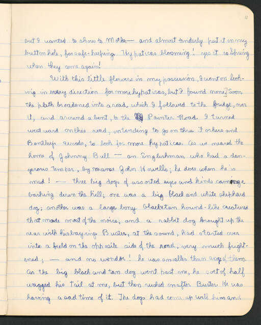 Volume VI. page 11