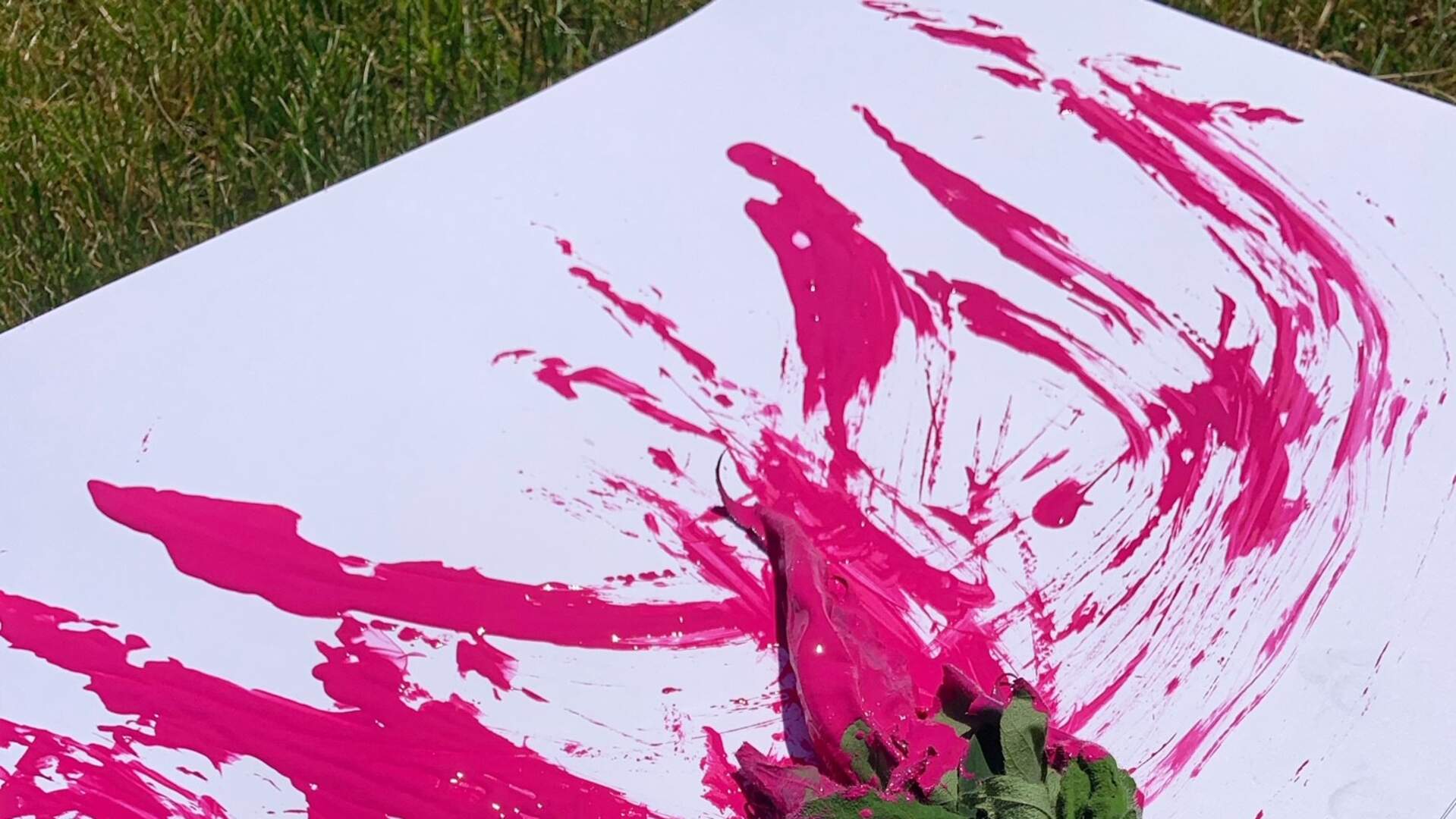 Nature's Paint Brush