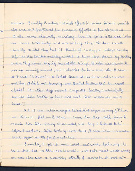Volume VI. page 3
